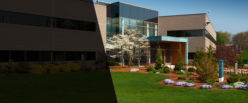 Daingerfield Landscapers