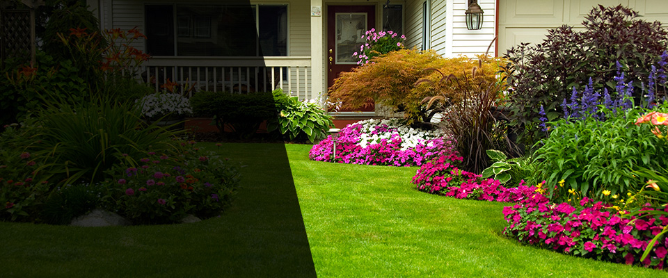 Daingerfield Landscapers