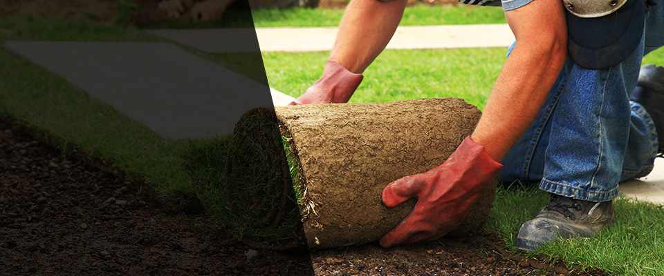 Daingerfield Landscapers